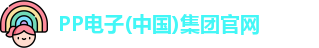 PP电子